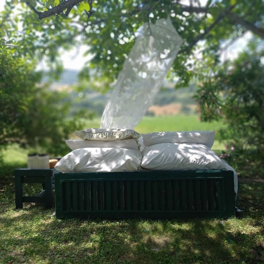 Le Bumbarelle Bed & Breakfast Tavoleto Eksteriør bilde