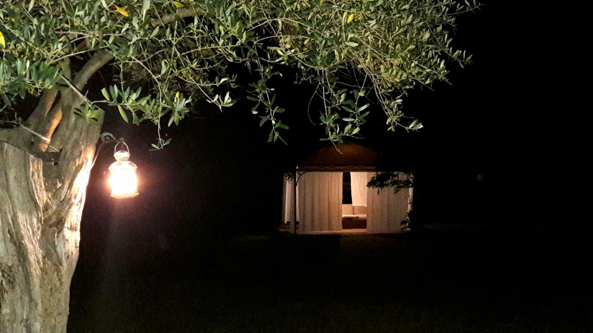Le Bumbarelle Bed & Breakfast Tavoleto Eksteriør bilde