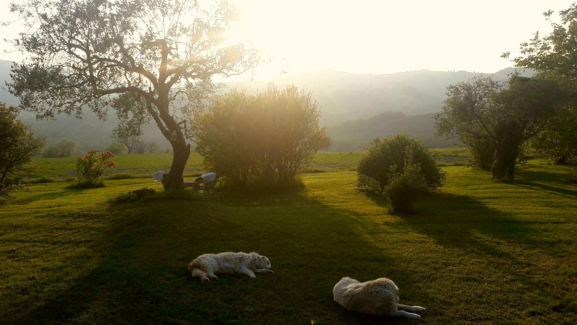 Le Bumbarelle Bed & Breakfast Tavoleto Eksteriør bilde