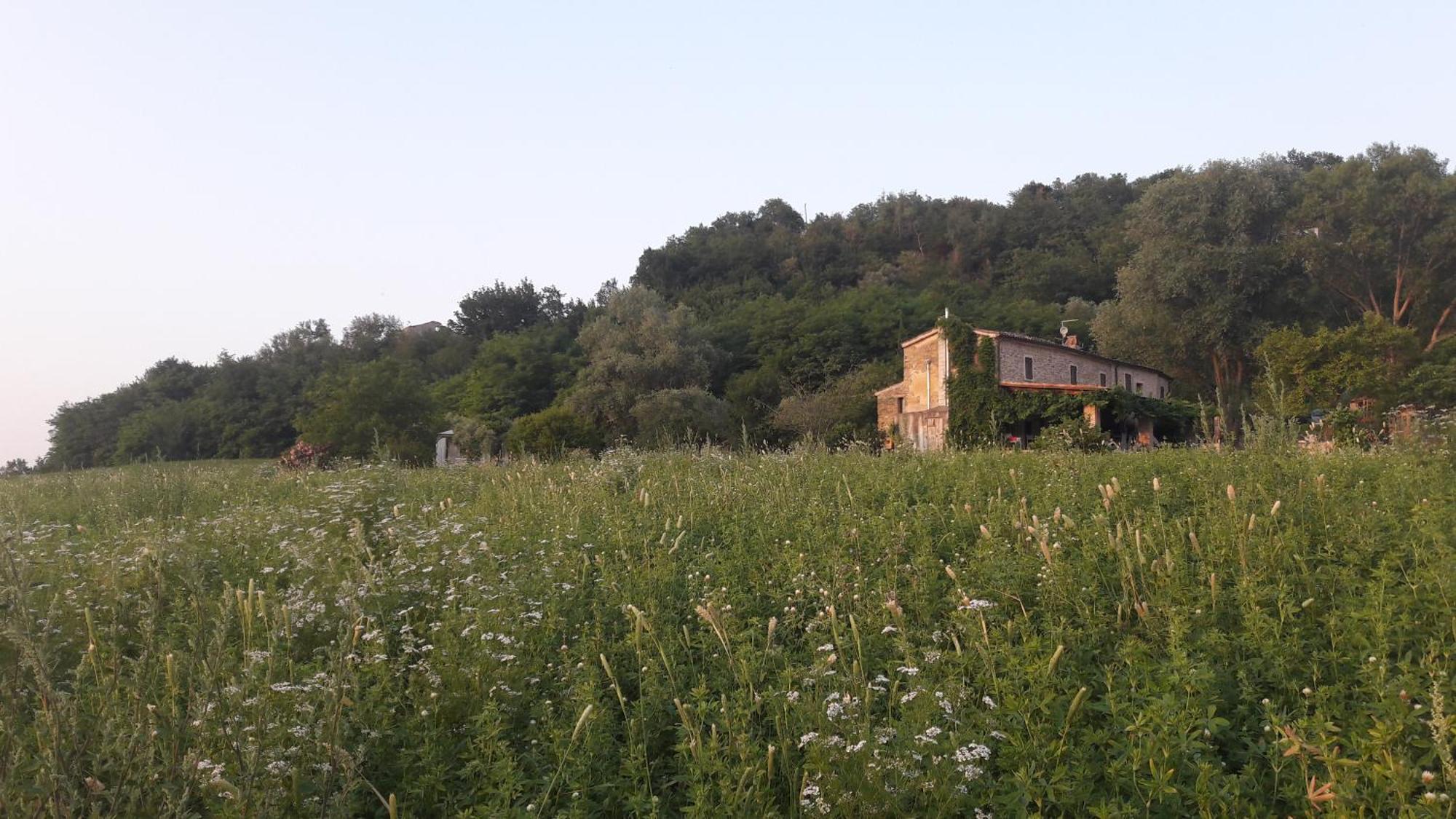 Le Bumbarelle Bed & Breakfast Tavoleto Eksteriør bilde