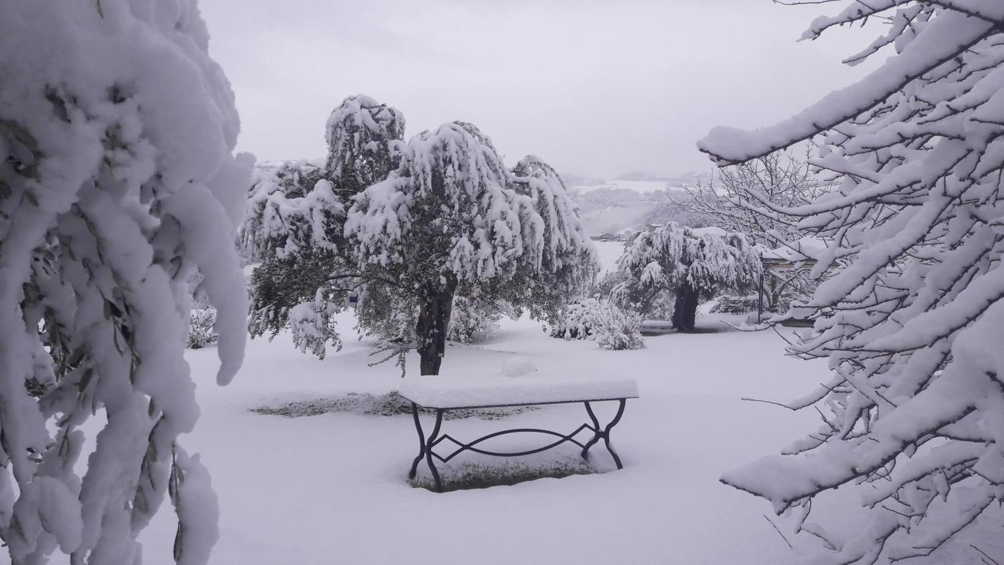 Le Bumbarelle Bed & Breakfast Tavoleto Eksteriør bilde