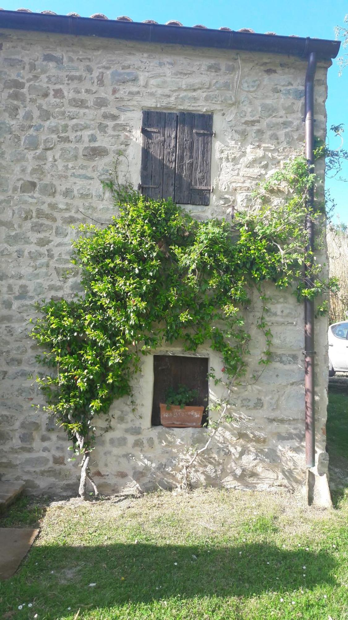 Le Bumbarelle Bed & Breakfast Tavoleto Eksteriør bilde