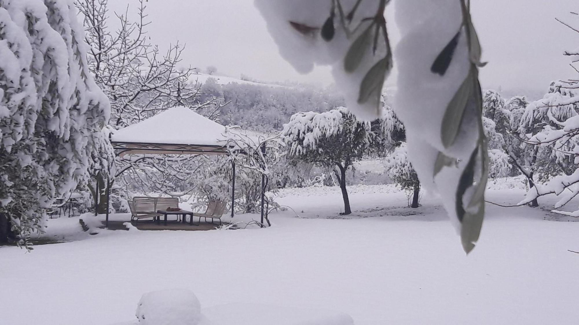 Le Bumbarelle Bed & Breakfast Tavoleto Eksteriør bilde
