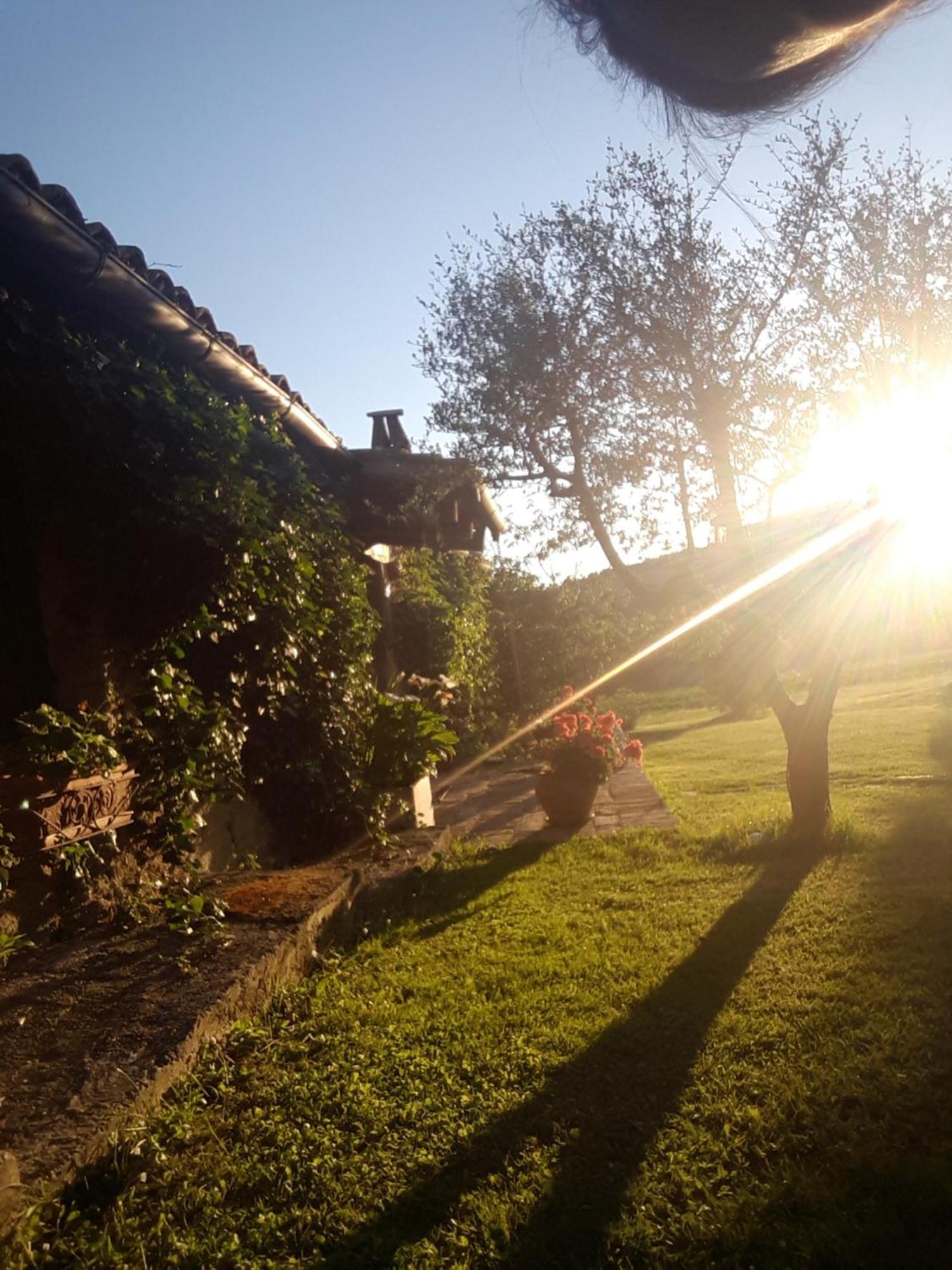 Le Bumbarelle Bed & Breakfast Tavoleto Eksteriør bilde