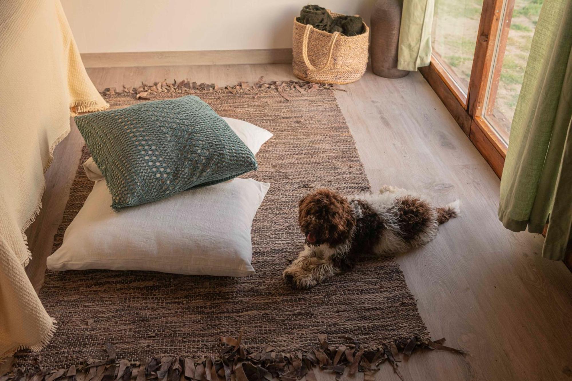 Le Bumbarelle Bed & Breakfast Tavoleto Eksteriør bilde
