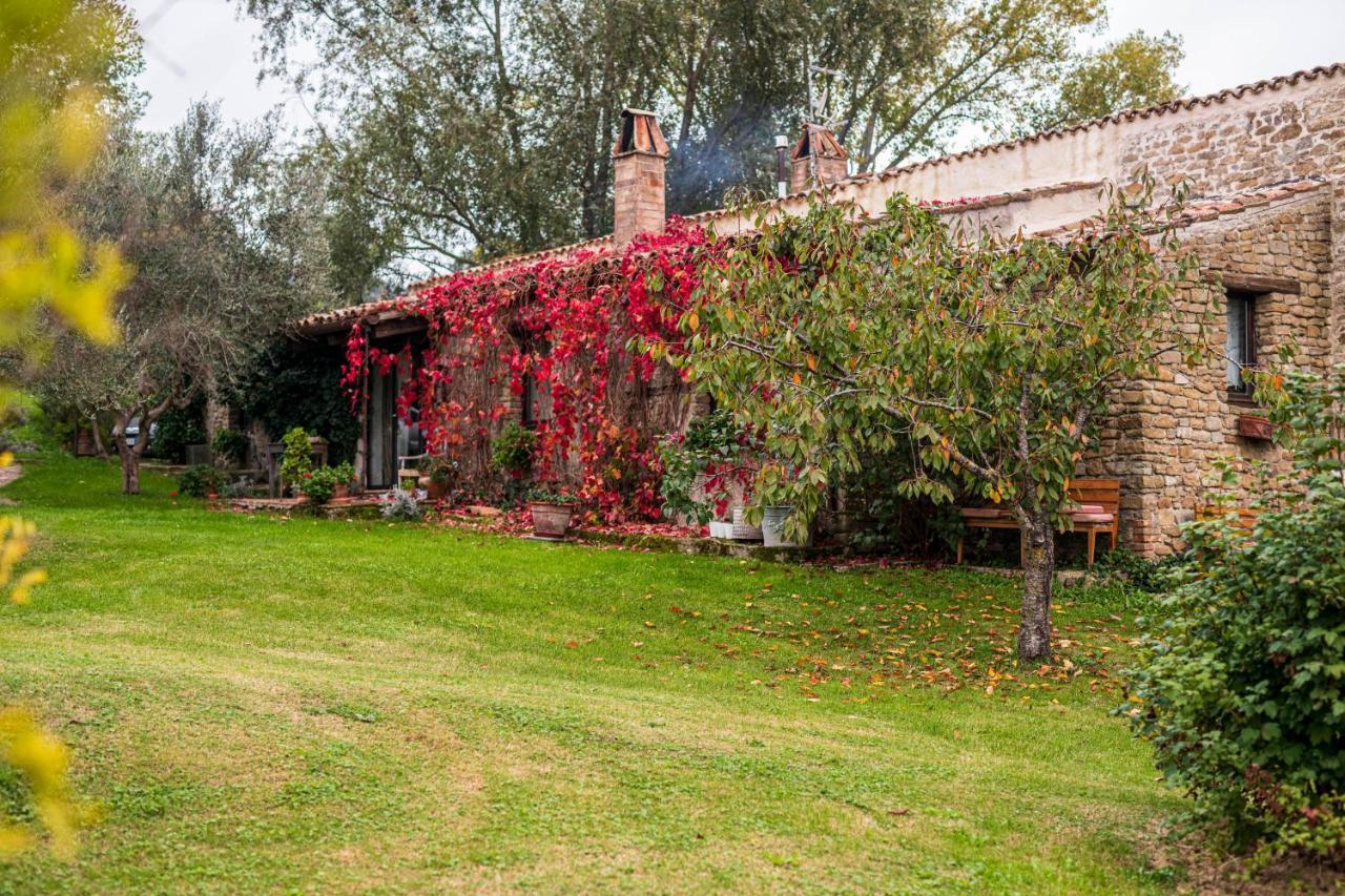 Le Bumbarelle Bed & Breakfast Tavoleto Eksteriør bilde
