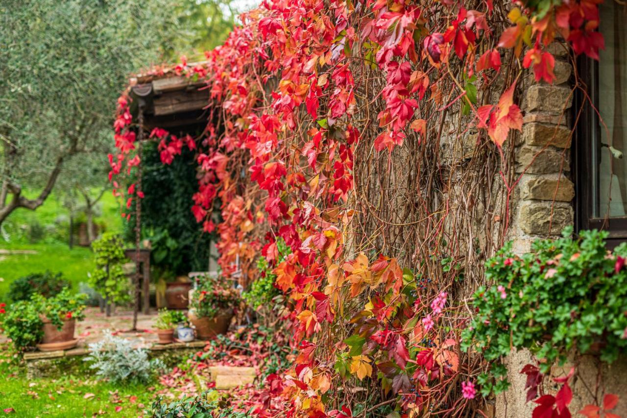 Le Bumbarelle Bed & Breakfast Tavoleto Eksteriør bilde